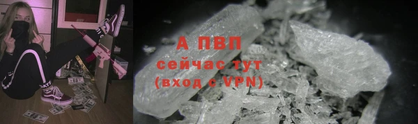 прущие грибы Болхов