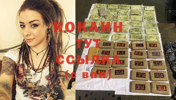 ПСИЛОЦИБИНОВЫЕ ГРИБЫ Болотное